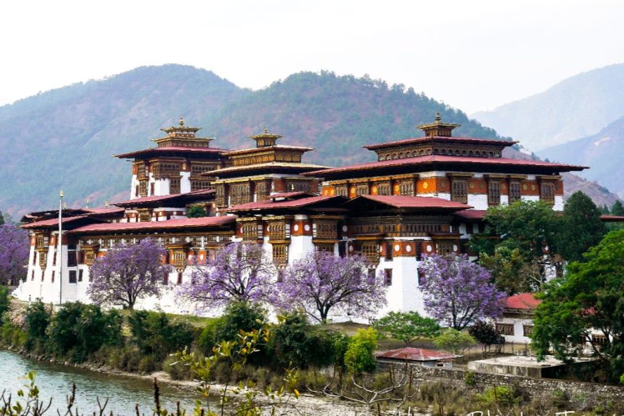 The Himalayan Essence: A 4-Day Tiger’s Nest & Punakha Pilgrimage